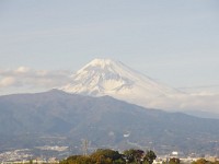 IMG 1951  愛鷹山を従えた富士山